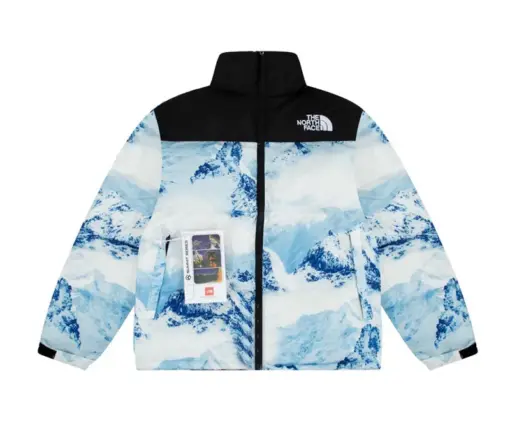 North Face Down Jacket