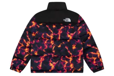 North Face Down Jacket