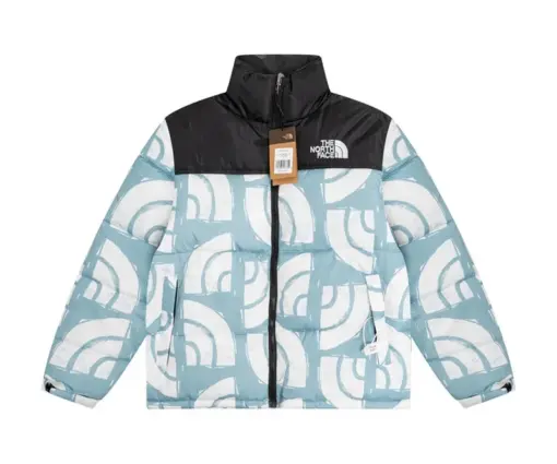 North Face Down Jacket