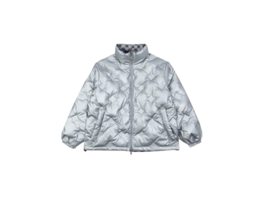 LV Down Jacket