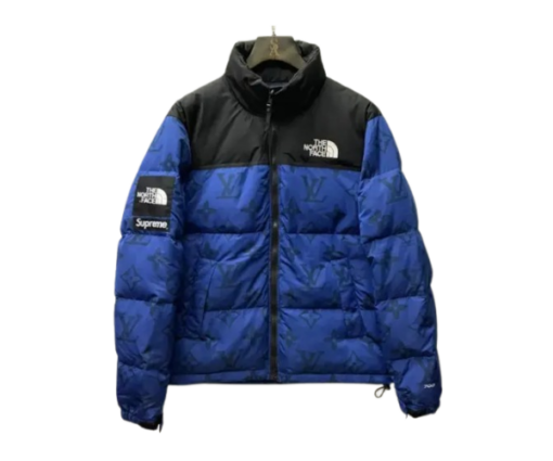 LV Down Jacket