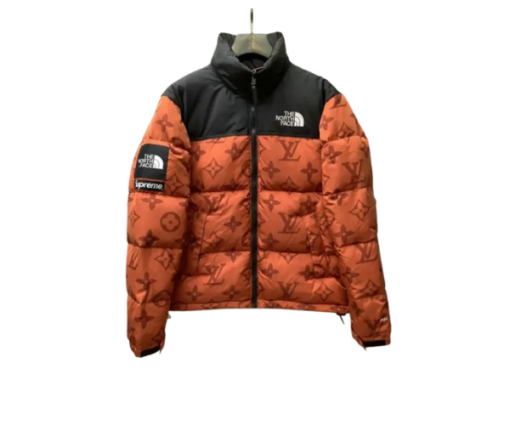 LV Down Jacket