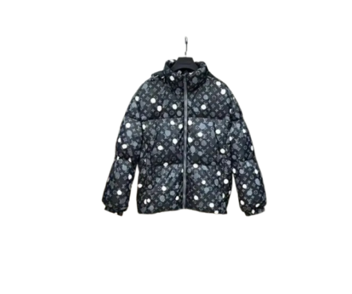 LV Down Jacket