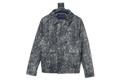 LV Down Jacket