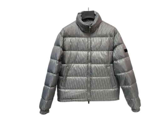 Dior Down Jacket Gray