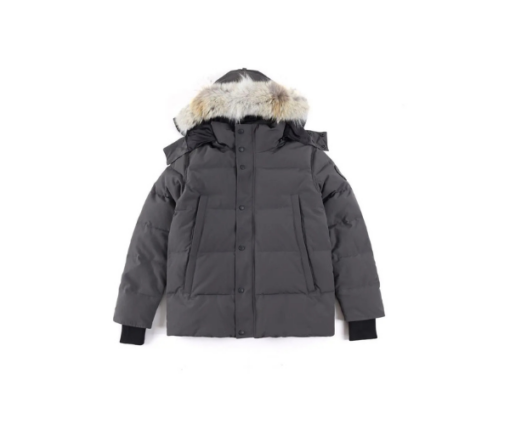 Canada Goose Down Jacket Grey