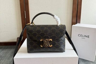 Celine Hand Bag Bistre