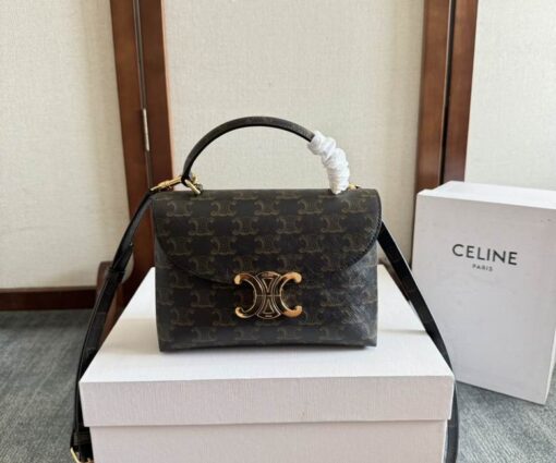 Celine Hand Bag Bistre