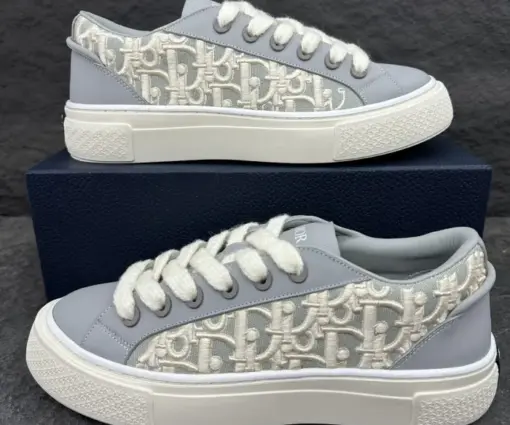 Dior B33 Sneaker Gray Smooth Calfskin