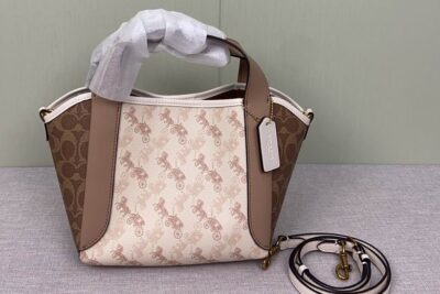 Coach Hadley Hobo 21 bag in Signature Canvas