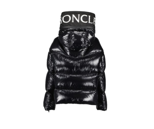 Moncler Huppe Down Jacket