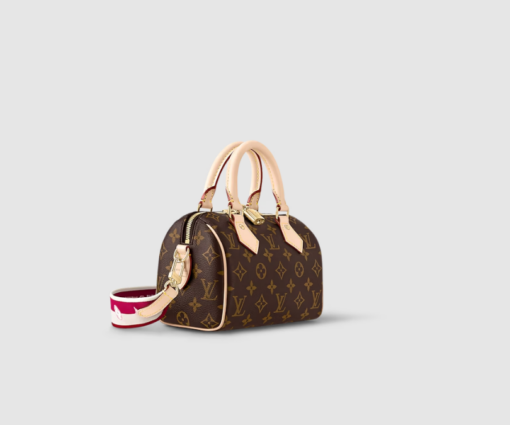 LV Speedy Bandoulière 20 Bag