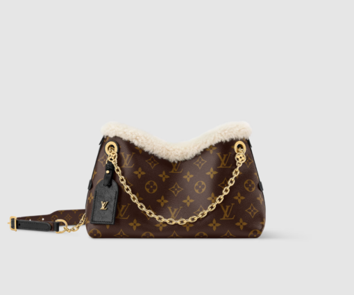 LV CarryAll BB Monogram Bag Brown
