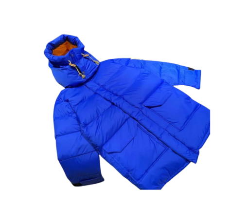 The North Face x Gucci Down Jacket Blue