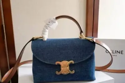 Celine Triomphe Dome Bag Brown & Blue