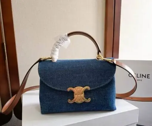 Celine Triomphe Dome Bag Brown & Blue