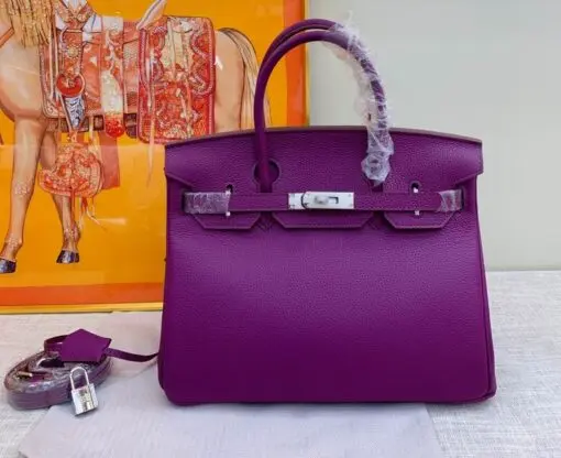Hermes Birkin Togo Bag Purple