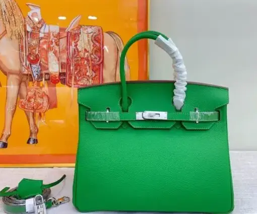 Hermes Birkin Togo Bag Green