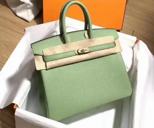 Hermes Kelly Sellier 25 Vert Criquet Bag Olive