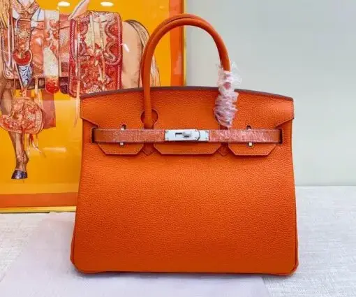 Hermes Birkin Togo Bag Orange