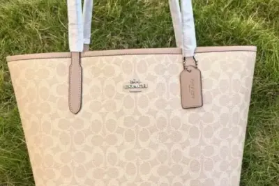 Coach Signature Canvas City Tote Bag Lite Grey