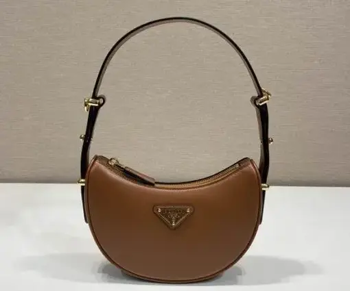 Prada Moon Handbag in Brown